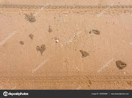 Jeder kann kostenlos dabei sein und fragen stel. Stockfotos Spuren Im Sand Bilder Stockfotografie Spuren Im Sand Lizenzfreie Fotos Depositphotos