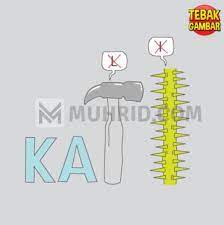 Check spelling or type a new query. Kunci Jawaban Tebak Level 20 Terbaru Beserta Gambarnya