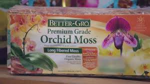 Maybe you would like to learn more about one of these? Better Gro 8 Qt Orchid Bark 50190 The Home Depot
