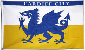 Apart from the national flag of wales, the flag most associated with the country of wales is the flag of saint david. Pin On Bluebirds