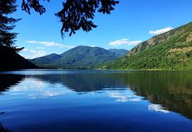 Maybe you would like to learn more about one of these? Developing Treatment Alternatives Colville National Forest Example