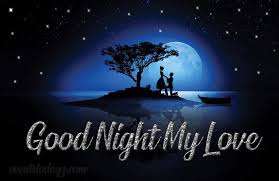 Send beautiful and lovely good night gif images and pictures to your friends and others. Good Night My Love Gif Animations Good Night Wishes