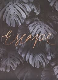 Escape Rose Gold Print By Blacklist Studio Blackliststorecomau Fondos Para Fotografia Ilustraciones Iphone Fondos De Pantalla