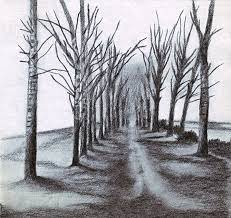Sketch Of Trees Along A Road Perspective Tree Drawing Landscape Landscape Drawings