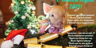 поздравление с новым годом в прозе коллегам по работе Prikolnye I Oficialnye Pozdravleniya Kollegam Po Rabote Na Novyj 2019 God Svini V Proze Stihah Otkrytkah Novano News