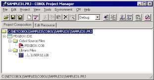 There are a lot of strange keywords in cobol. A 32 Sample 31 Windows System Function Call