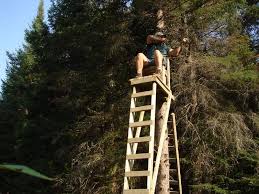 Pin By Nick Puckett On True North Treestands Ladder Stands Wooden Ladder Wood Ladder