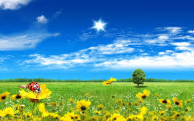Beautiful World Beautiful Fantasy World Wallpapers Hd Wallpapers Scenery Wallpaper Beautiful Summer Wallpaper Summer Landscape