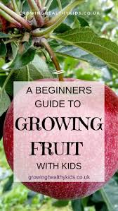 Check spelling or type a new query. Grow Patio Fruit Trees And Other Delicious Fruit With Kids For A Tasty Summer Treat Patio Fruit Trees Growing Fruit Fruit Trees In Containers