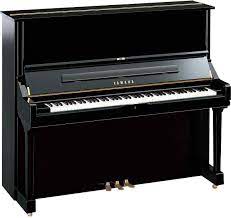 Gitar adalah jenis alat musik dawai atau senar yang dimainkan dengan cara dipetik. 6 Alat Musik Tekan Lengkap Gambar Dan Penjelasan Serupa Me