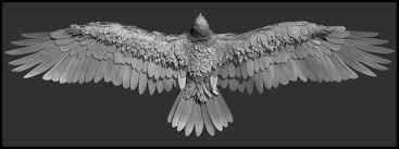 Eagle 3d Model 3d Model Obj Ztl Tga 8 Human Art Sketch Book Black Bird