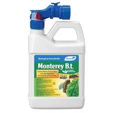 We did not find results for: Caterpillars Organic Pest Control Organic Gardening The Home Depot