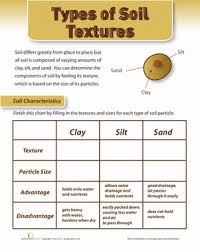 Soil Texture Worksheet Education Com