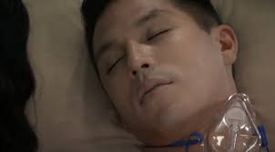 The General Hospital Wub Tub: 2022