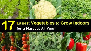 With artificial light, you can grow herbs indoors the whole year round. 17 Easiest Vegetables To Grow Indoors For A Harvest All Year Indoor Vegetable Growing Guide