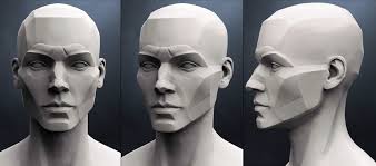 Planes Of The Head Female 3d Model Human Anatomy Art Drawing The Human Head Art
