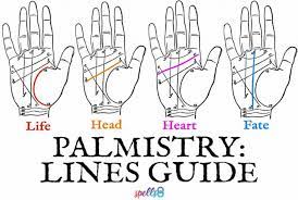 Palm Reading Guide: How to Read your Own Palm – Spells8