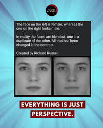 THE ILLUSION OF SEX' Would you believe that these two photos are actually  the same, and not a pair of female and male faces? 🤯 This illusion was  created by Richard Russell.