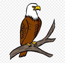 Harpy Eagle Clipart Easy Drawing Philippine Eagle Clipart Hd Png Download Vhv We offer various expressions and variations of the flag of mexico. harpy eagle clipart easy drawing