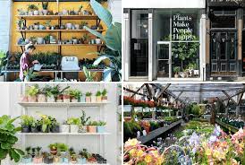Get hours, directions, deals and more for flower shops near me. The 10 Best Plant Shops In Nyc 6sqft