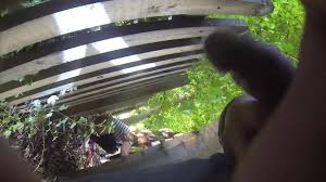 Dick Flash In Public Store- brazen public display Telegram full video