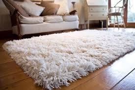 area rug cleaning oriental rug