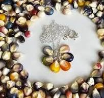 GG-55) Bushel Gourd Seed Pendant on Embellished Double ...