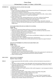 The key is that the practice manager takes full responsibility for all operational roles within the business, only referring back to the principal if it's business critical. Finance Manager Planning Resume Samples Velvet Jobs