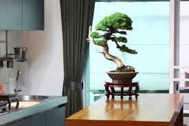 We did not find results for: Japanese Room Decorations 13 Ideas To Improve Your Home S Interior