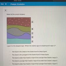 Several terms have been introduced that are important to mastering. Please Answer Quick More Than One Answers Brainly Com