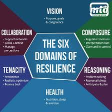 The Six Domains Of Resilience In 2020 What Is Resilience Emotional Resilience Resilience