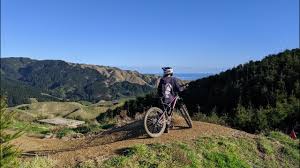 Max Tebbs Live Stream