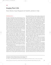 Is nucleolus a animal or plant cell? Pdf Imaging Plant Cells