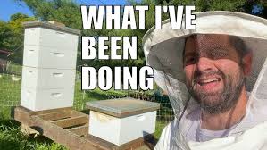 Dr. Amanda Slagle (Growing Up in Kittanning, Holistic Medicine, Moving  Home, and More)