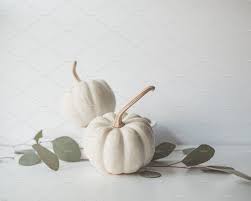 Are white pumpkins good to eat? White Pumpkins Containing Pumpkins White And Autumn High Quality Abstract Stock Photos Creative Market