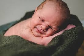 Taryn Starkey's Instagram, Twitter & Facebook