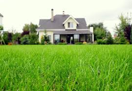 Home » hindi » hindi kundli. Get Off My Lawn Meaning In Hindi