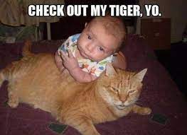 20 Of The Funniest Pictures Of Babies With Cats Seriously For Real Seriously For Real Funny Babies Funny Pictures Funny Baby Pictures