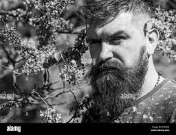 Uomo con barba e baffi sul viso stretto vicino ai fiori nella giornata di  sole. Uomo barbuto con taglio di capelli fresco che posa con fioritura di  albero di giuda. L'ippopotami gode