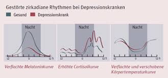 Depression Zentralnervensystem Depressive Episoden Bgv Info Gesundheit E V