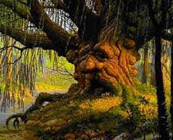 Page Non Trouvee Arbres Etranges Tree Arbre