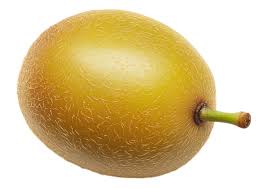 Image result for foto minikiwi