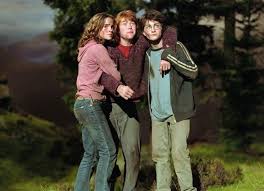 People (mostly) ship it because their chemistry in the movies is very strong. Harry Ron Hermione Harry Potter Ron Weasley Harry Potter Ron Harry Potter Movies