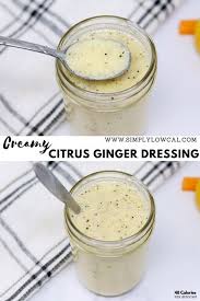 Creamy Citrus Ginger Dressing Low Calorie Lc Lf Gf Recipe No Calorie Foods Low Calorie Salad Fruit Salad Recipes
