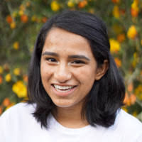 4200+ "Sheen" profiles