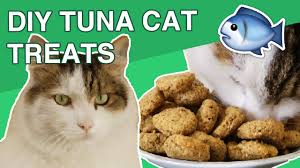 Use either a small cookie cutter or knife to cut into shapes. Diy Tuna Cat Treats Youtube