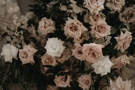 Ask your florist if they can help you source specialities. Dream Wedding In Puglia The Asia Collective S Co Founder Said I Do