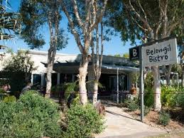 Belongil Bistro Byron Bay Restaurant Belongil Beach Byron Bay Restaurants Byron Bay Holiday Places