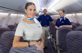 Discover more about cabin crew jobs and help make our customers' journeys with us memorable. Cabin Crew Jobs How To Be Cabin Crew