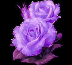 Black and purple flowers wallpaper. Free Download Happy Birthday Jackie Background Black Flowers Purple Roses Twojpg 800x722 For Your Desktop Mobile Tablet Explore 45 Dark Purple Roses Wallpaper Purple Wallpaper Background Purple And Black